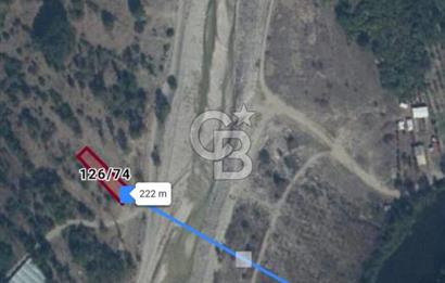 CB CITY'DEN İNHİSAR KOYUNLU KÖYÜNDE SATILIK BAHÇE