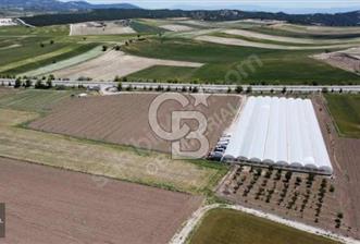 ÇALDA ANA YOLA CEPHE SATILIK SERA KURULU TARLA - 1 - 314439