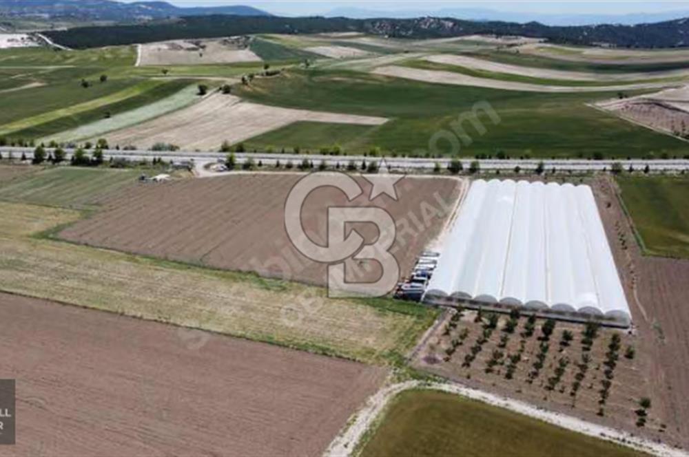 ÇALDA ANA YOLA CEPHE SATILIK SERA KURULU TARLA