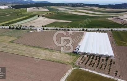 ÇALDA ANA YOLA CEPHE SATILIK SERA KURULU TARLA