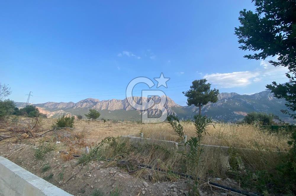 SUİÇECEK MAHALLESİNDE 4+1 KİRALIK DAİRE