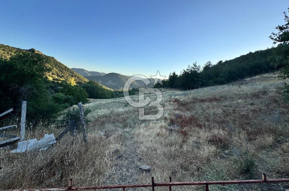 Manisa Soma'da Satılık Tarla