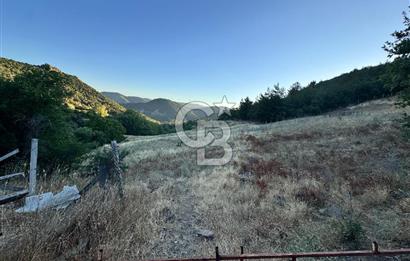 Manisa Soma'da Satılık Tarla