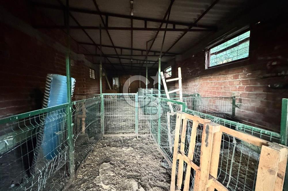 Manisa Soma'da Satılık Tarla