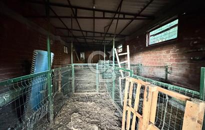 Manisa Soma'da Satılık Tarla