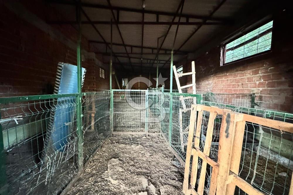 Manisa Soma'da Satılık Tarla