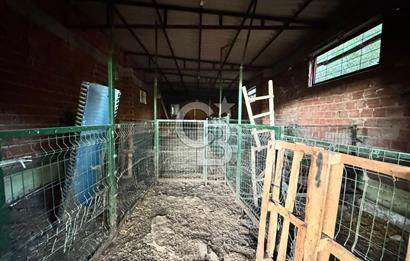 Manisa Soma'da Satılık Tarla