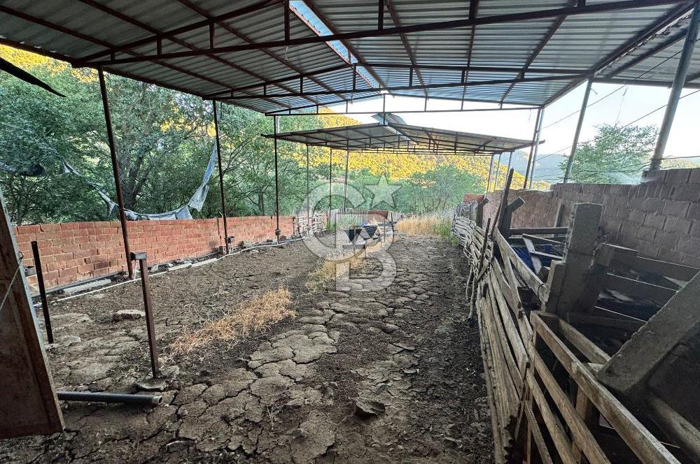 Manisa Soma'da Satılık Tarla