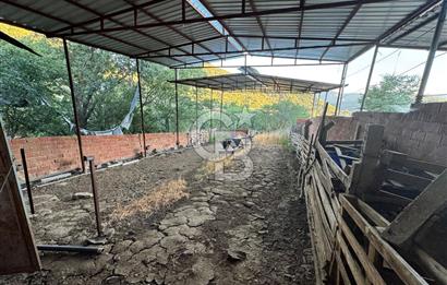 Manisa Soma'da Satılık Tarla