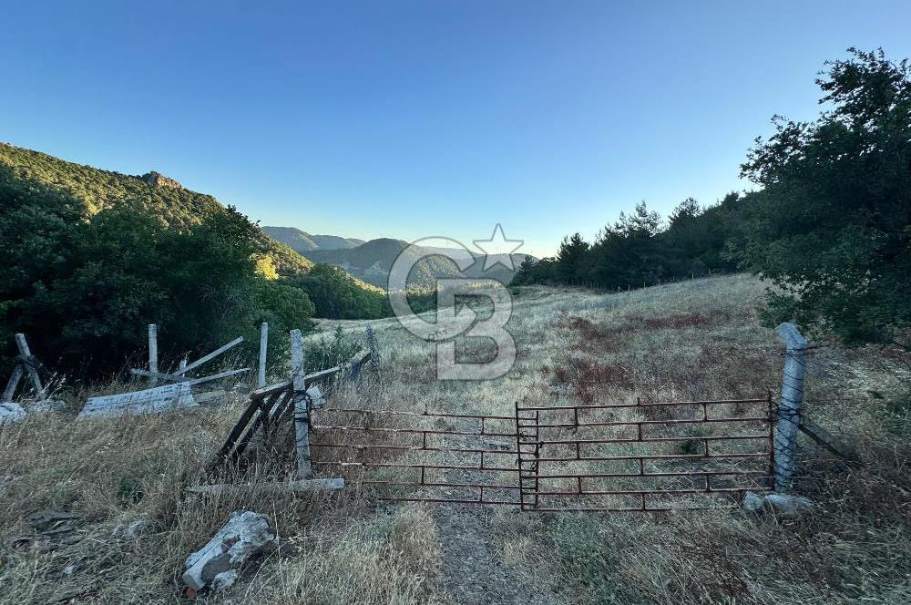 Manisa Soma'da Satılık Tarla