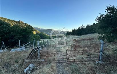 Manisa Soma'da Satılık Tarla