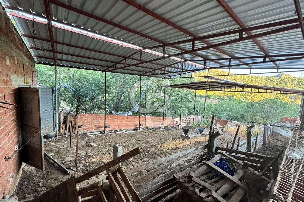 Manisa Soma'da Satılık Tarla