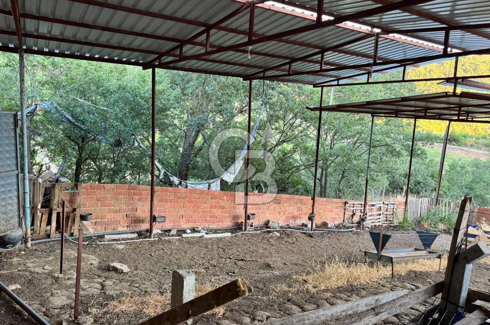 Manisa Soma'da Satılık Tarla