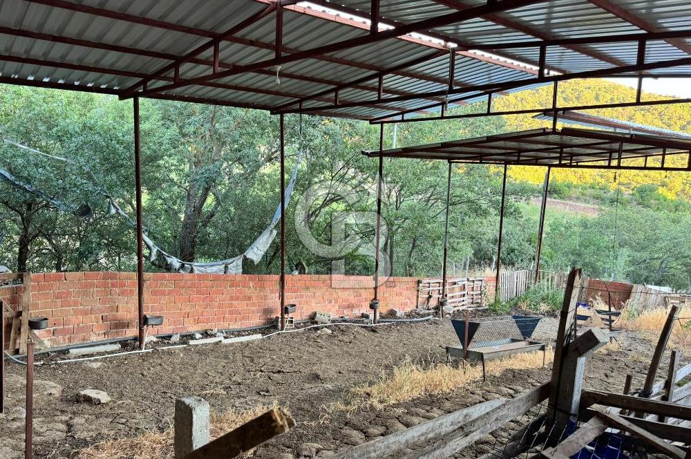 Manisa Soma'da Satılık Tarla