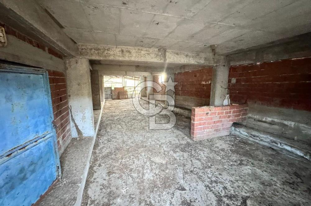 Manisa Soma'da Satılık Tarla