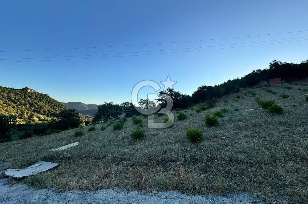 Manisa Soma'da Satılık Tarla