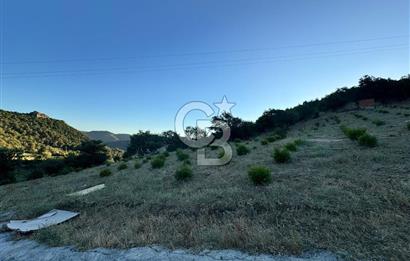 Manisa Soma'da Satılık Tarla