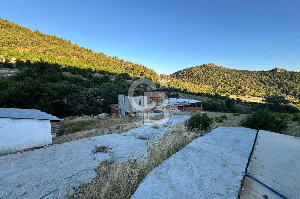 Manisa Soma'da Satılık Tarla