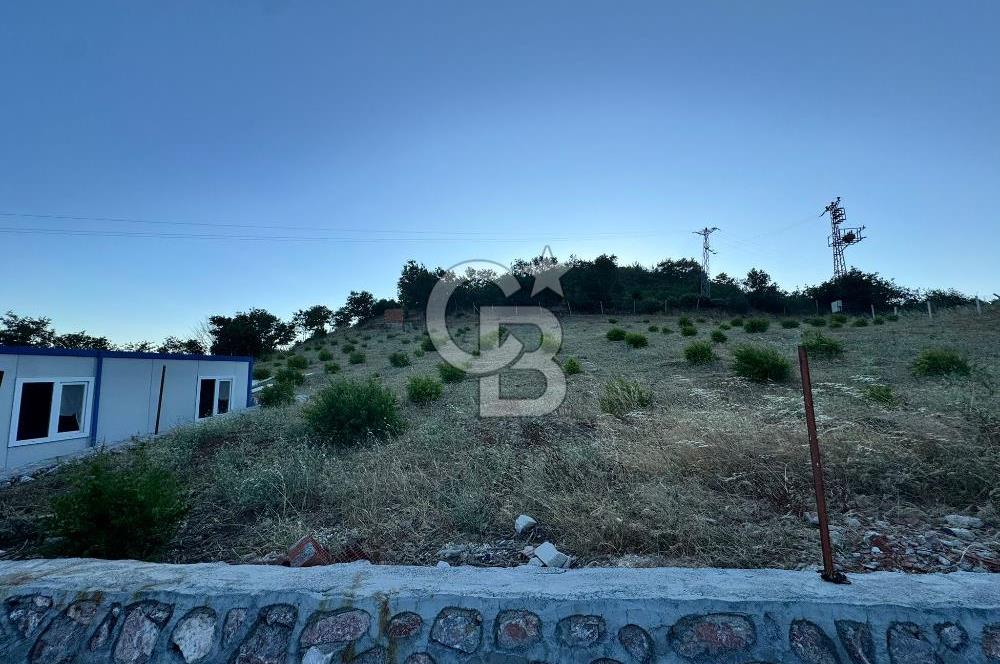 Manisa Soma'da Satılık Tarla