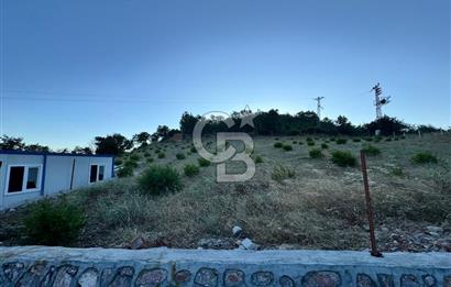 Manisa Soma'da Satılık Tarla