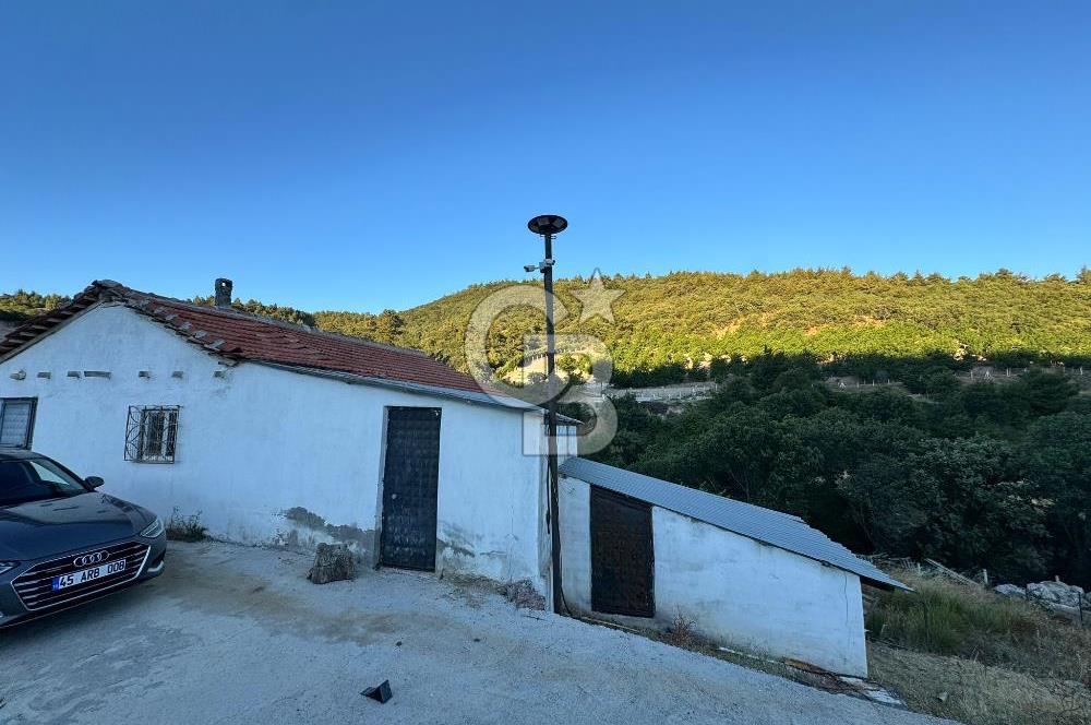 Manisa Soma'da Satılık Tarla