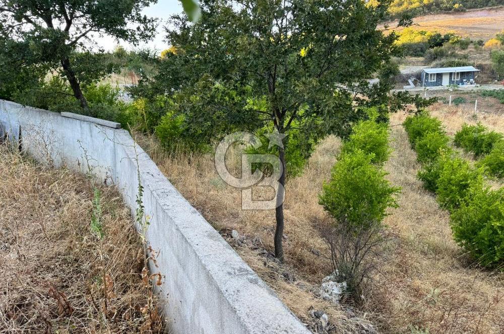 Manisa Soma'da Satılık Tarla