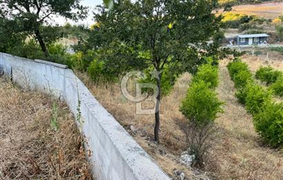 Manisa Soma'da Satılık Tarla