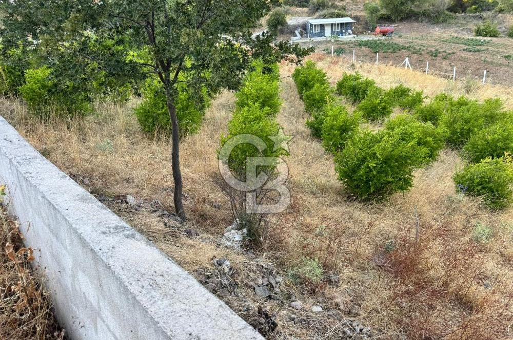 Manisa Soma'da Satılık Tarla