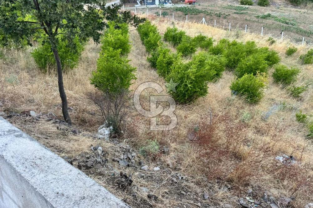 Manisa Soma'da Satılık Tarla