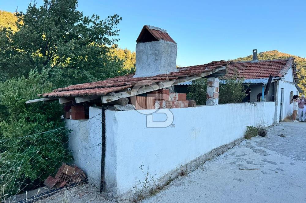 Manisa Soma'da Satılık Tarla