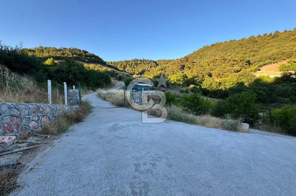 Manisa Soma'da Satılık Tarla