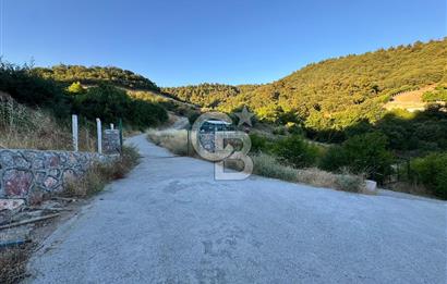 Manisa Soma'da Satılık Tarla