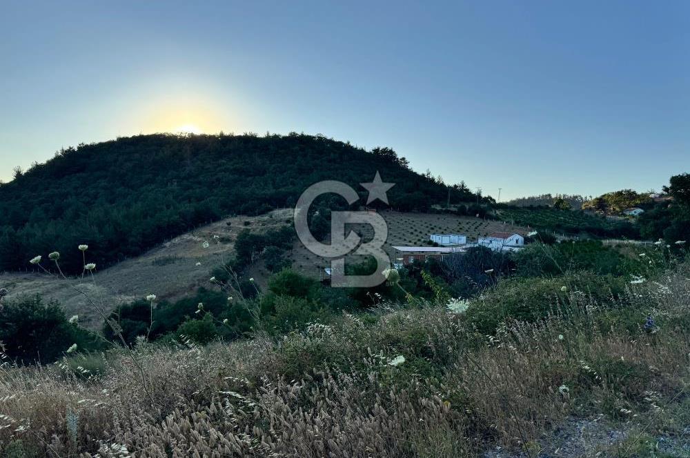 Manisa Soma'da Satılık Tarla