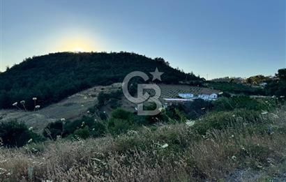 Manisa Soma'da Satılık Tarla