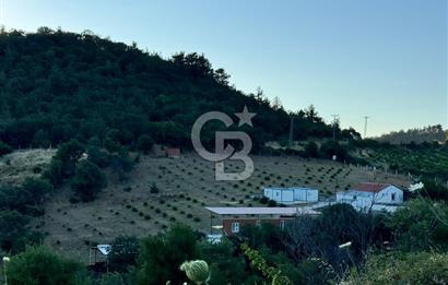 Manisa Soma'da Satılık Tarla