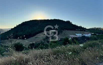Manisa Soma'da Satılık Tarla