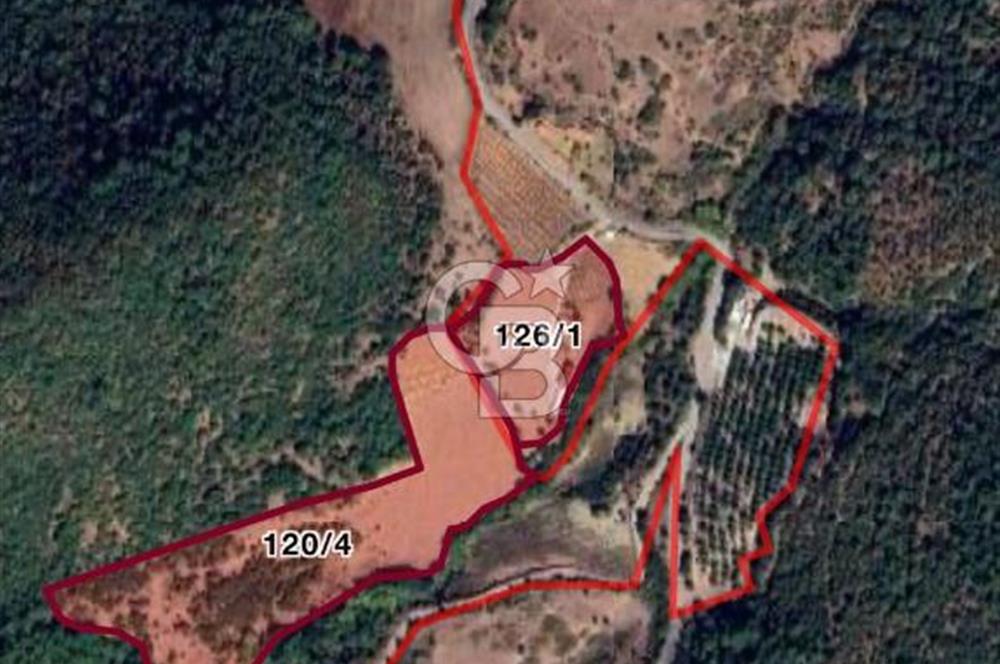 Manisa Soma'da Satılık Tarla