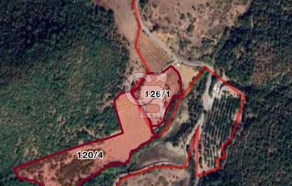 Manisa Soma'da Satılık Tarla