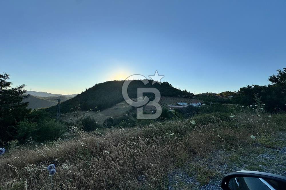 Manisa Soma'da Satılık Tarla