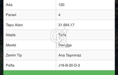 Manisa Soma Yayladalı'nda Satılık Tarla