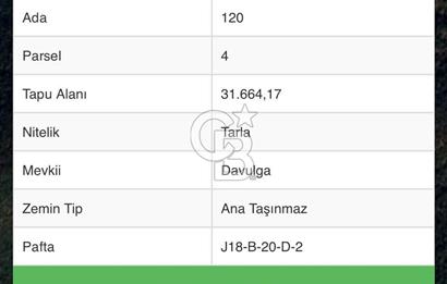 Manisa Soma Yayladalı'nda Satılık Tarla