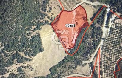 Manisa Soma'da Satılık Tarla