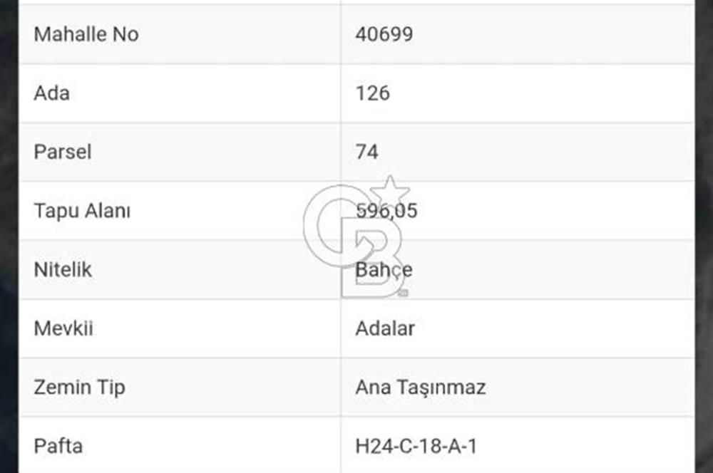 CB CITY'DEN İNHİSAR KOYUNLU KÖYÜNDE SATILIK BAHÇE