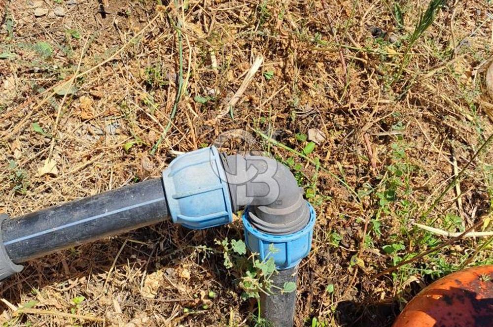 Karaburun Parlak Mahallesi'nde 5799 m² Mandalina Bahçesi