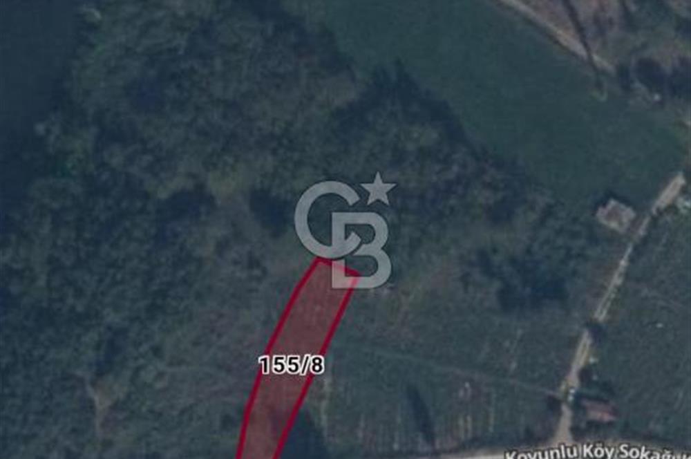 CB CITY'DEN İNHİSAR KOYUNLU KÖYÜNDE SATILIK BAHÇE