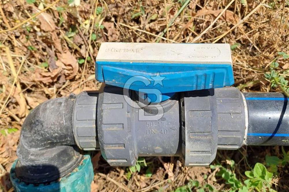 Karaburun Parlak Mahallesi'nde 5799 m² Mandalina Bahçesi