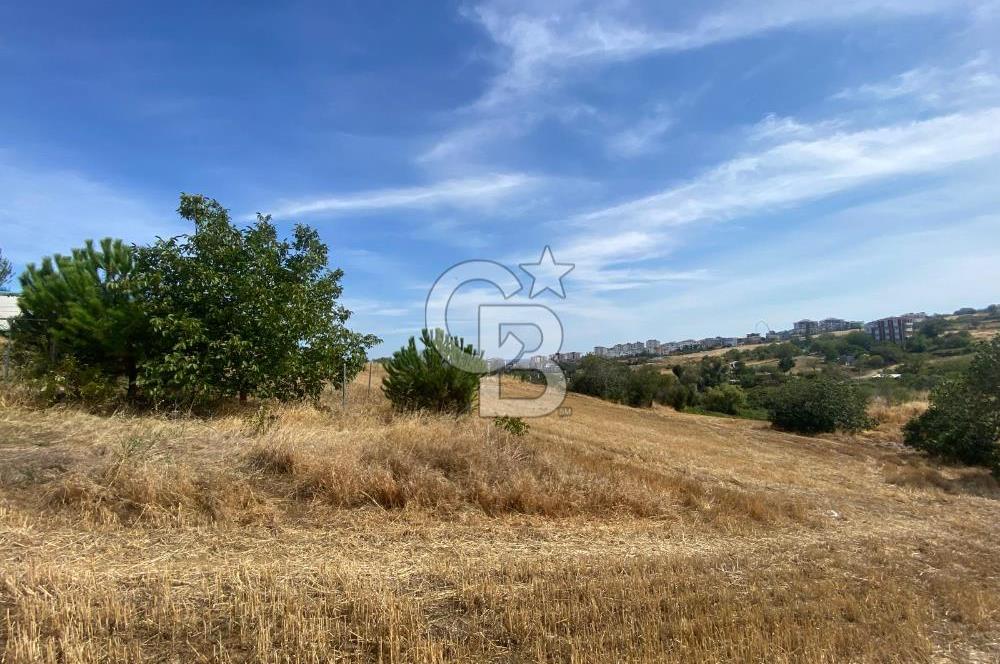 TEKİRDAĞ SÜLEYMANPAŞA DA 3 KAT VİLLA İMARLI SATILIK ARSA