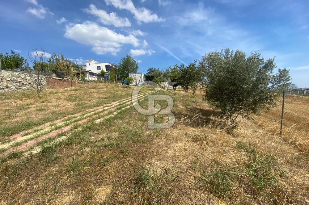 TEKİRDAĞ SÜLEYMANPAŞA DA 3 KAT VİLLA İMARLI SATILIK ARSA