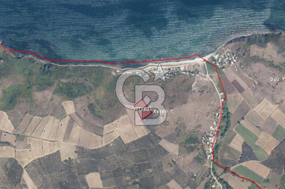 BURSA, MUDANYA, YALIÇİFLİĞİ MAH. KETENDERE'DE SATILIK HOBİ BAH.