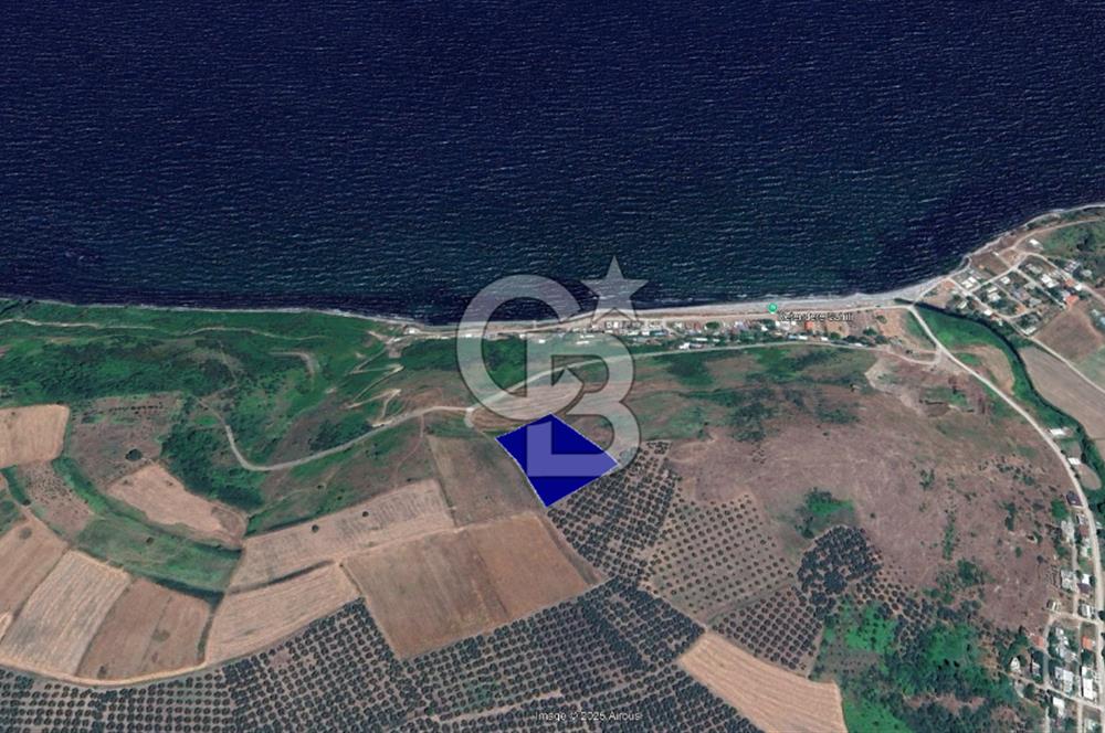 BURSA, MUDANYA, YALIÇİFLİĞİ MAH. KETENDERE'DE SATILIK HOBİ BAH.